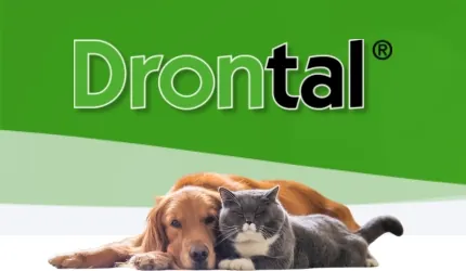 Drontal