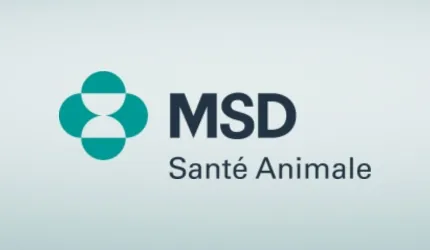 MSD