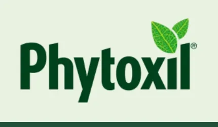 Phytoxil