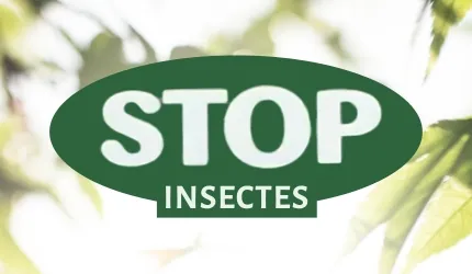 Stop Insectes