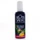 AROMA SPRAY Spray Bois de h&ocirc; gingembre 100ml - Illustration n&deg;1
