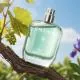 CAUDALIE Eau des Vignes - Eau fra&icirc;che 50ml - Illustration n&deg;2