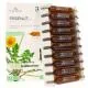 FLORA NATURA Pissenlit Bio 20 Ampoules de 15ml - Illustration n&deg;2