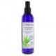 FLORAME Eau Florale Bio Aloe Vera 200ml - Illustration n&deg;1