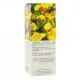 HAUT-SEGELA Huile d'Onagre BIO flacon 50 ml - Illustration n°2