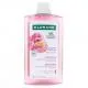 KLORANE Apaisant - Shampooing Pivoine Bio anti-irritation et protecteur 400ml - Illustration n°1
