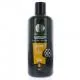 PHARMASCIENCE Capillaire - Shampoing Fortifiant 500ml - Illustration n&deg;1