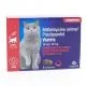 VIATRIS Milbemycine Oxime / Praziquantel Chat+2kg x2 Comprim&eacute;s - Illustration n&deg;1