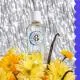 ROGER & GALLET Coffret Eau Parfumée Bienfaisante Vanille Soleil 100ml et son Lait Corps - Illustration n°2