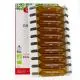 SUPERDIET Circulation et performances intellectuelles 20 ampoules - Illustration n°2