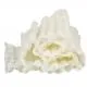 THUASNE Bande Mobiderm 10cm x 3m - Illustration n°2