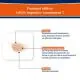URGO Pansements Ampoules Mix x10 - Illustration n&deg;2