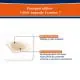 URGO Pansements ampoule extr&ecirc;me grand format x10 - Illustration n&deg;2
