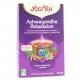 YOGI TEA Infusion Ashwagandha Relaxation x17 sachets - Illustration n&deg;1
