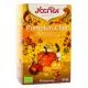 YOGI TEA Infusion Pumpkin Chai bio x17 Sachets - Illustration n&deg;1