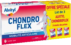 ALVITYL Chondro Flex Mobilité Articulaire Lot de 3 Boites de 60 comprimés