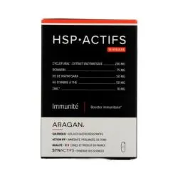 SYNACTIFS HSP Actifs Immunité X10 gélules