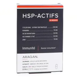 SYNACTIFS HSP Actifs Immunité X10 gélules