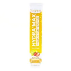 SANTAROME Hydra'Max - Booster d'Hydratation gout Citron Fraise x20