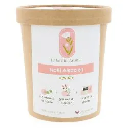 LE JARDIN AROMA Pot infusettes Noel Alsacien x12
