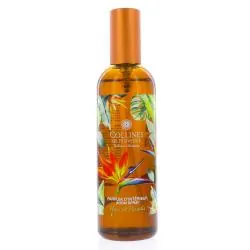 COLLINES DE PROVENCE Parfum Intérieur Fleur de paradis 100ml