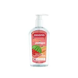 ASSANIS Gel Hydroalcoolique Melon Pastèque 250ml