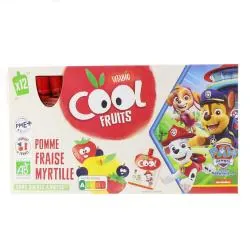 BABYBIO Cool fruits - Gourdes La Pat's Patrouille Pomme Fraise Myrtille x12