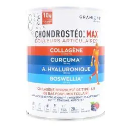 GRANIONS Chondrostéo max Douleurs articulaires pot 226g