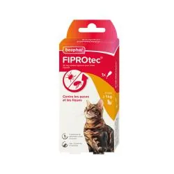 BEAPHAR Fiprotec 50mg solution spot-on pour chats x1 pipette