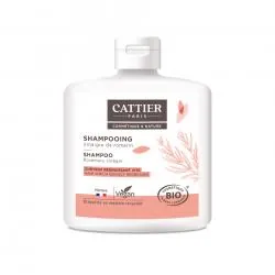 CATTIER Shampooing vinaigre de romarin cheveux gras bio flacon 250ml