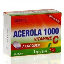 ALVITYL Vitalité - Acerola 1000 à croquer