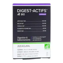 SYNACTIFS DigestActifs 30 gélules d'origine végétale