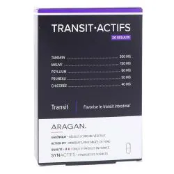 SYNACTIFS Transit Actifs Transit gélules x 20