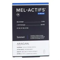 ARAGAN Synactifs - Mel Actifs 15 gélules