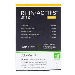 SYNACTIFS Rhin Actifs 10 gélules